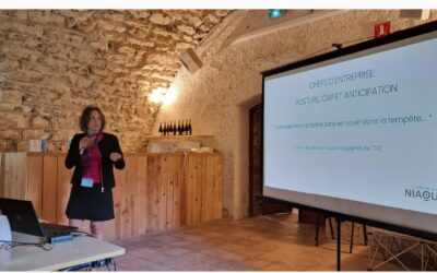 Chefs d’entreprise : posture, cap et anticipation